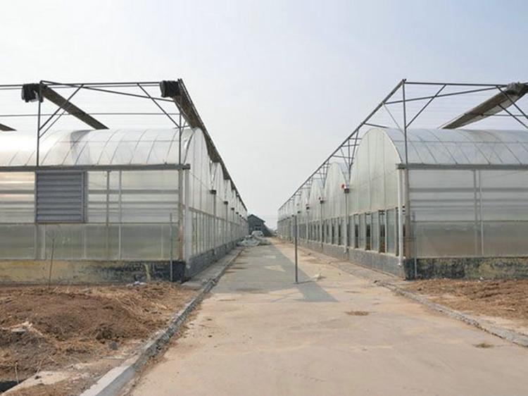 阳光板温室工程  鋆成兴达温控厂家设计安装 温室专用风机水帘湿帘