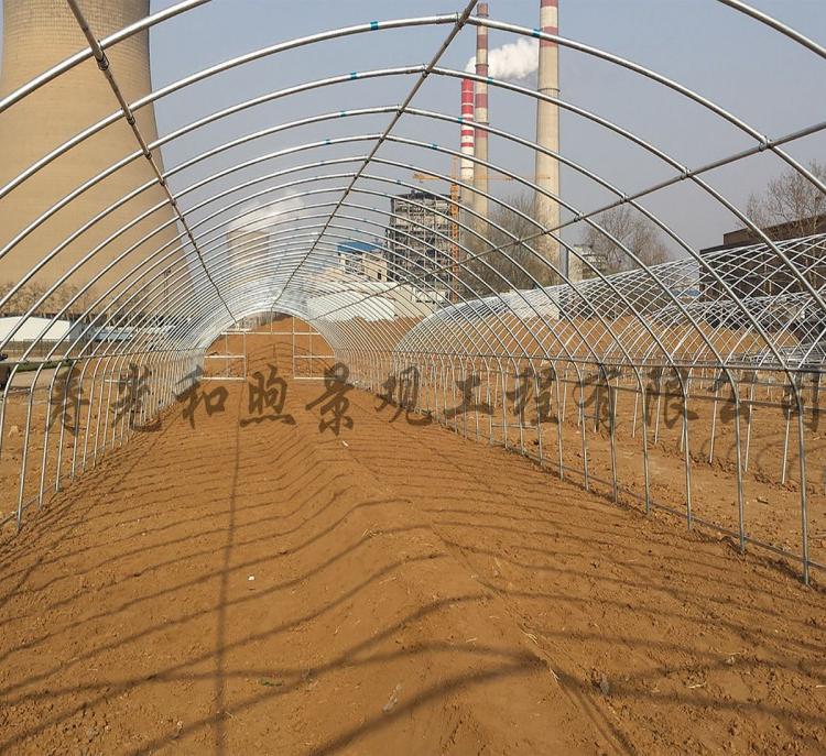 和煦无立柱拱棚 温室大棚建设 全钢管拱棚设计