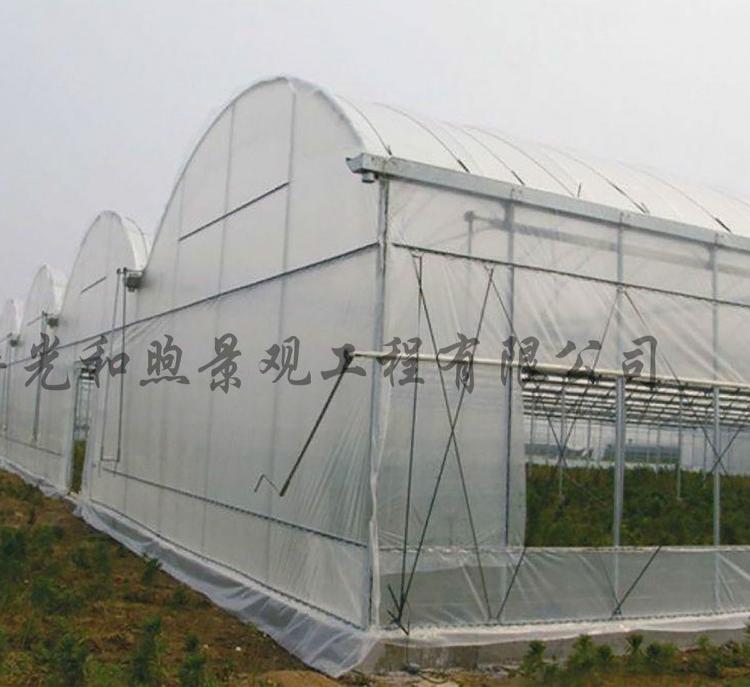po膜式温室大棚 调节温室大棚温度 改善土壤水分 增加土壤养分含量
