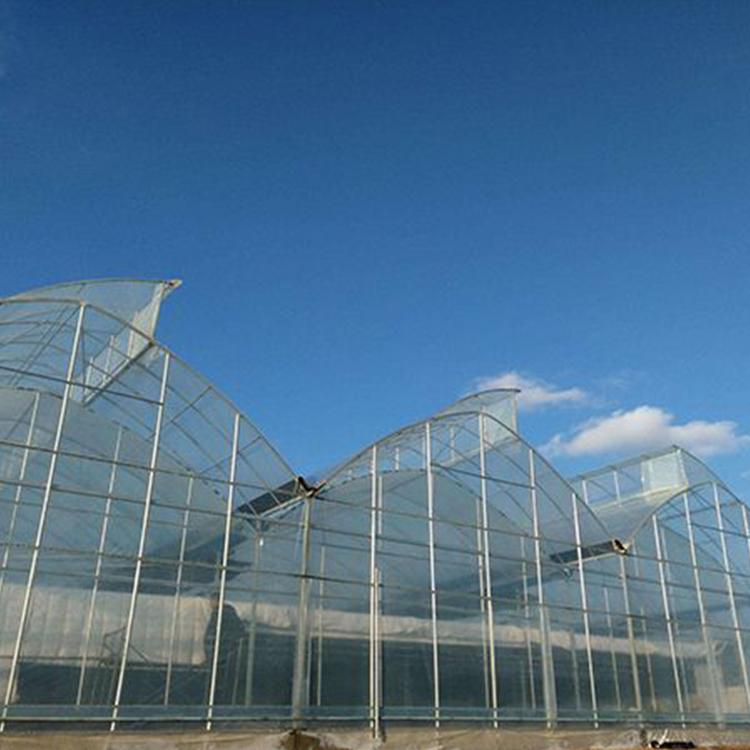 新型日光温室大棚建设 迎晖温室 定制日光温室大棚的厂家