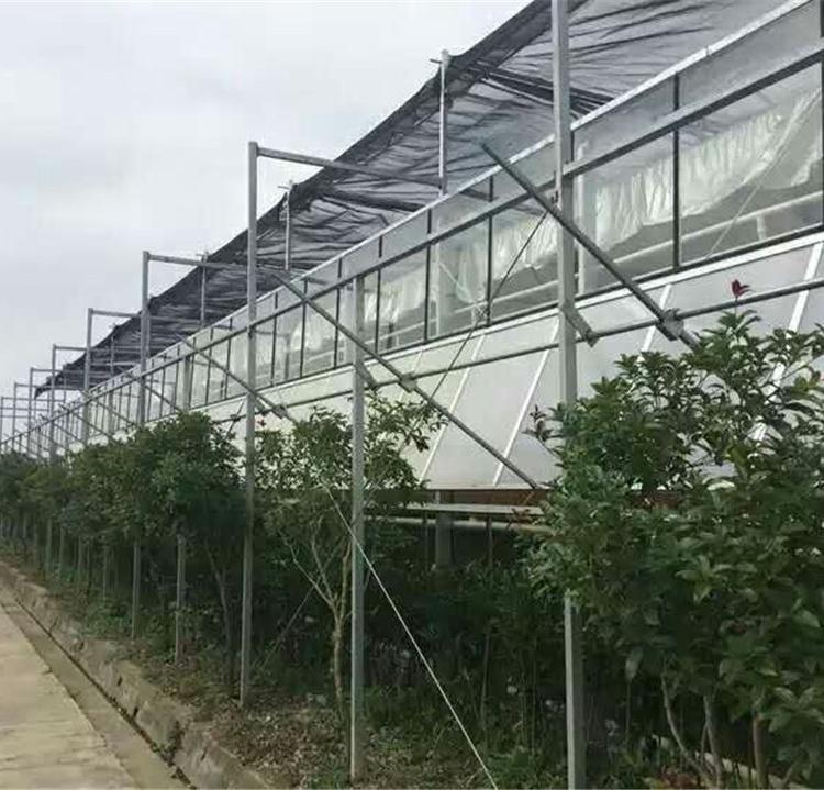 河南种植型玻璃温室大棚建设价格 玻璃温室大棚 连栋温室大棚