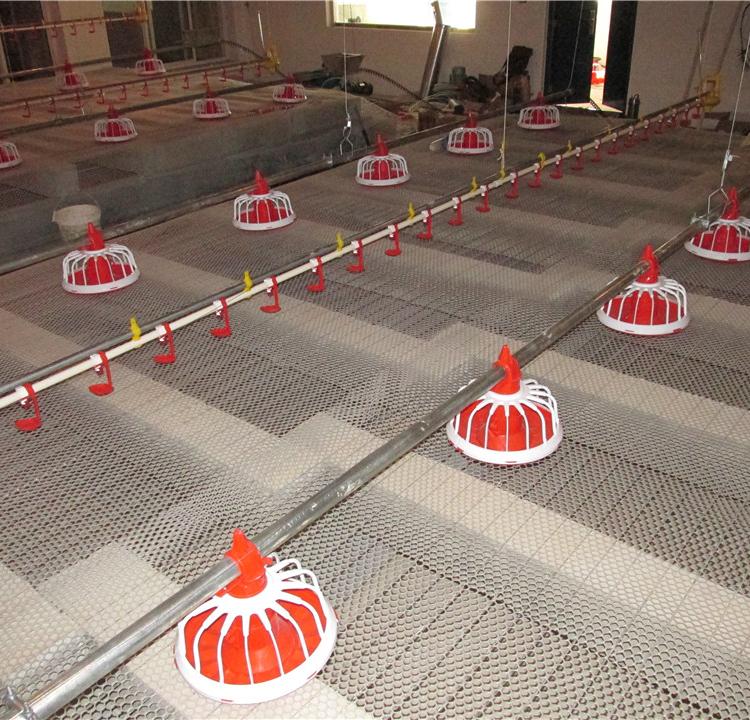 养殖水线 厂家直供 肉鸡饮水系统  自动化水线