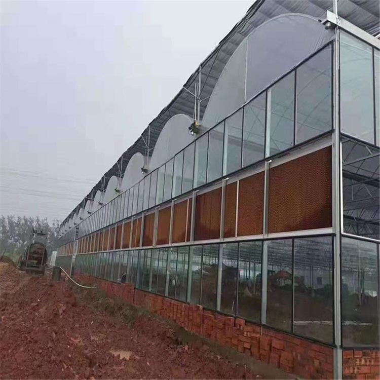 金农建造蔬菜连栋薄膜温室大棚 种植用连栋薄膜温室建设 可按需报价