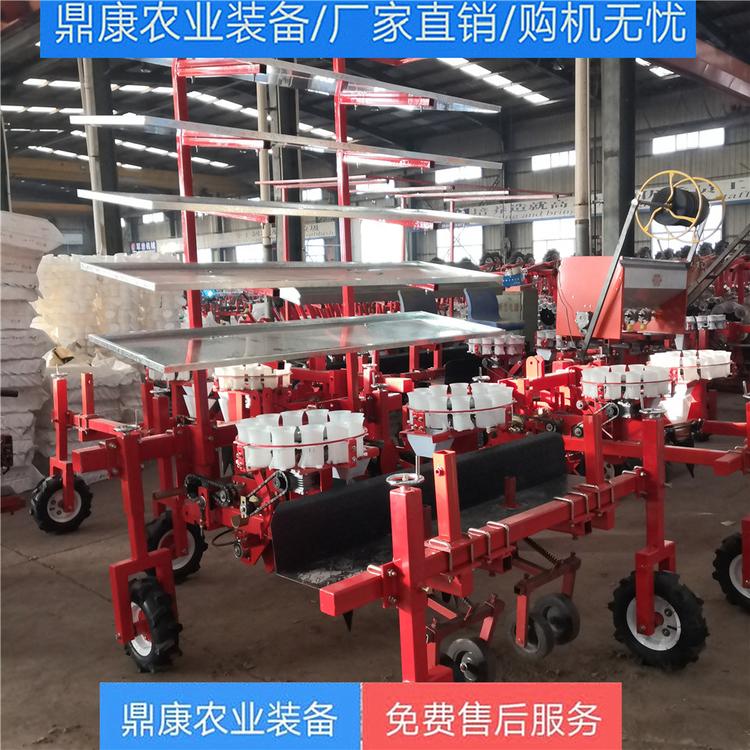 辣椒栽苗机 辣椒移栽机 鼎康农业制造
