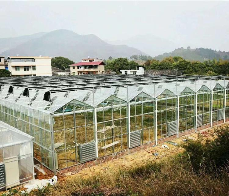 薄膜连栋温室造价 青州承建连栋薄膜温室 润隆温室连栋大棚薄膜温室建造