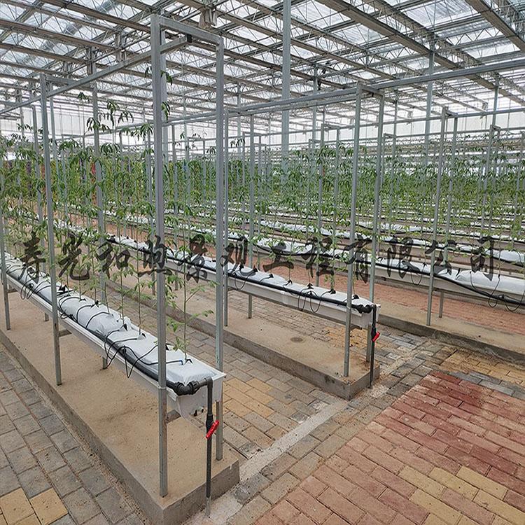 西红柿无土栽培模式 荷兰模式 草莓叶菜无土栽培
