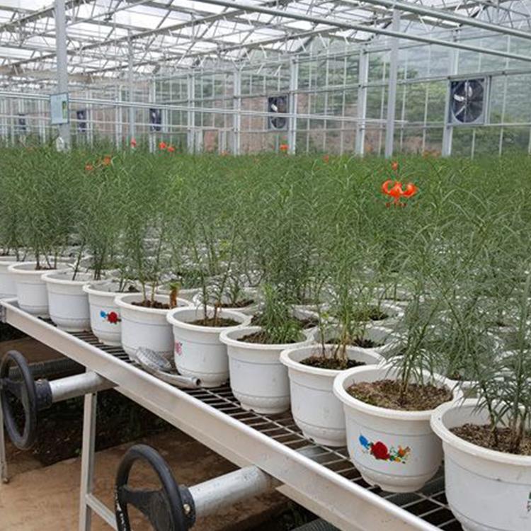 优良质量的玻璃温室大棚 建造玻璃温室 玻璃大棚 价格优惠