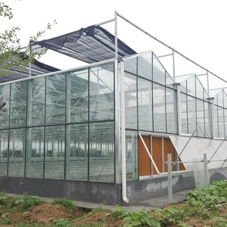 花卉大棚 玻璃温室大棚 经验多迎晖温室 加工定制各种尺寸温室大棚
