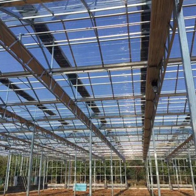新型日光温室大棚 日光温室大棚建设厂家