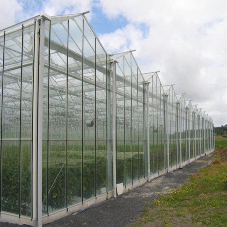 智能温室大棚_玻璃蔬菜大棚_连栋温室 材料可信的温室工程建设