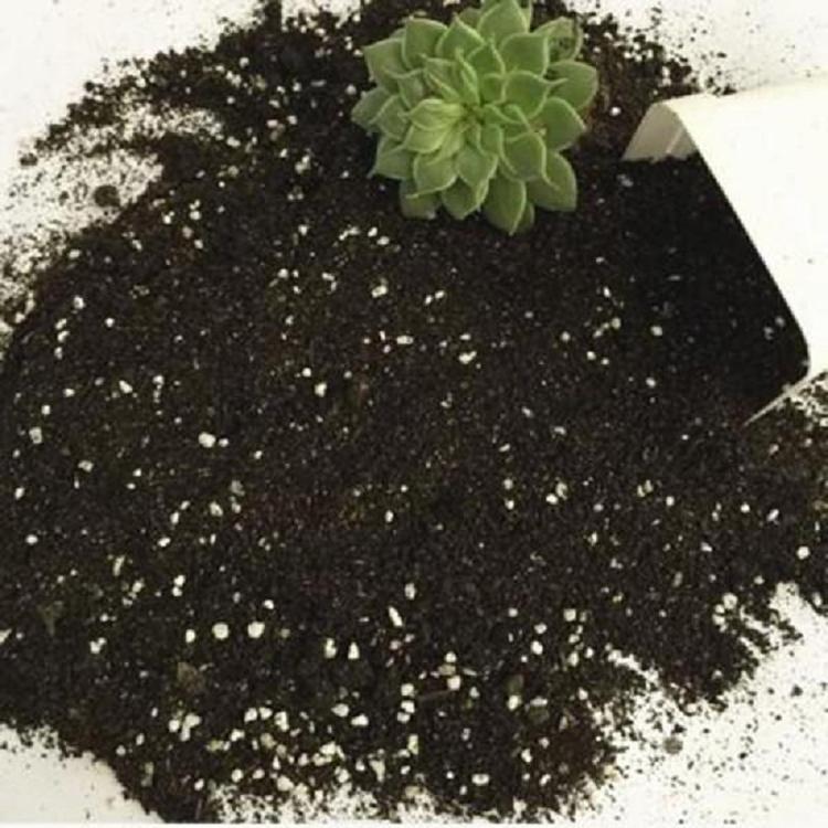 保温保湿草炭土  花卉用草炭土泥炭土