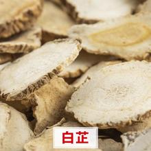 无硫白芷片 白芷片 中强中药饮片