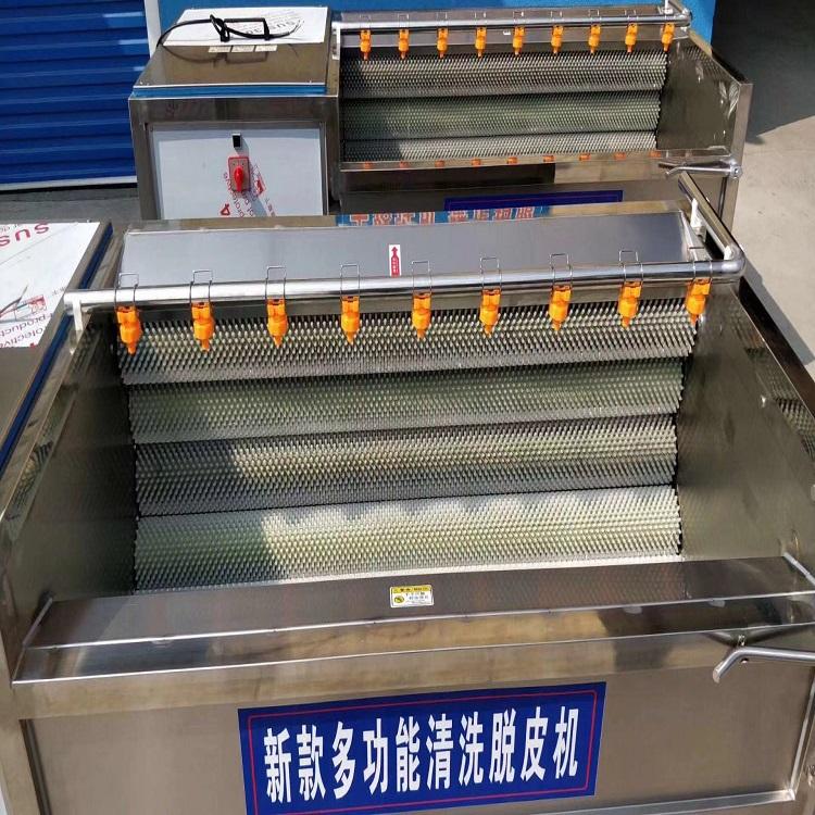 萝卜_土豆毛辊去皮清洗机供应