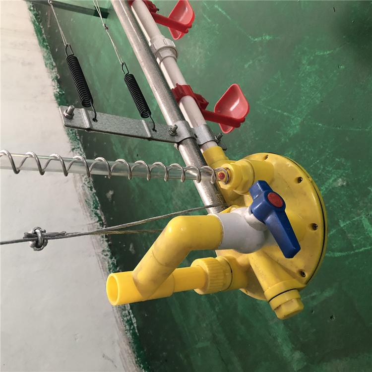 自动平养鸡舍 厂家热销  养殖畜牧水线  肉鸡水线