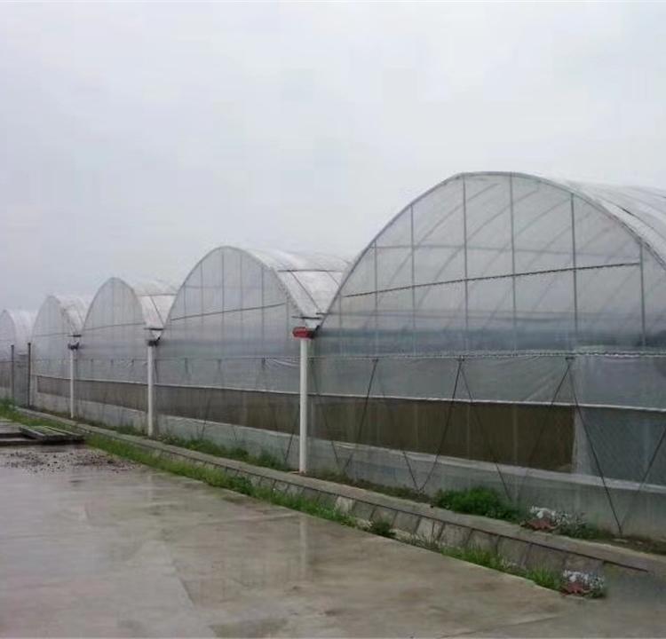 优质连栋薄膜花卉温室大棚 po薄膜连栋大棚建造厂家 花卉温室建造