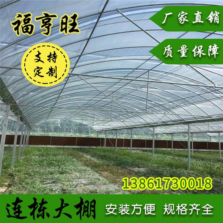 直销简易蔬菜大棚 热镀锌花卉农业大棚 智能温室畜牧家禽大棚骨架