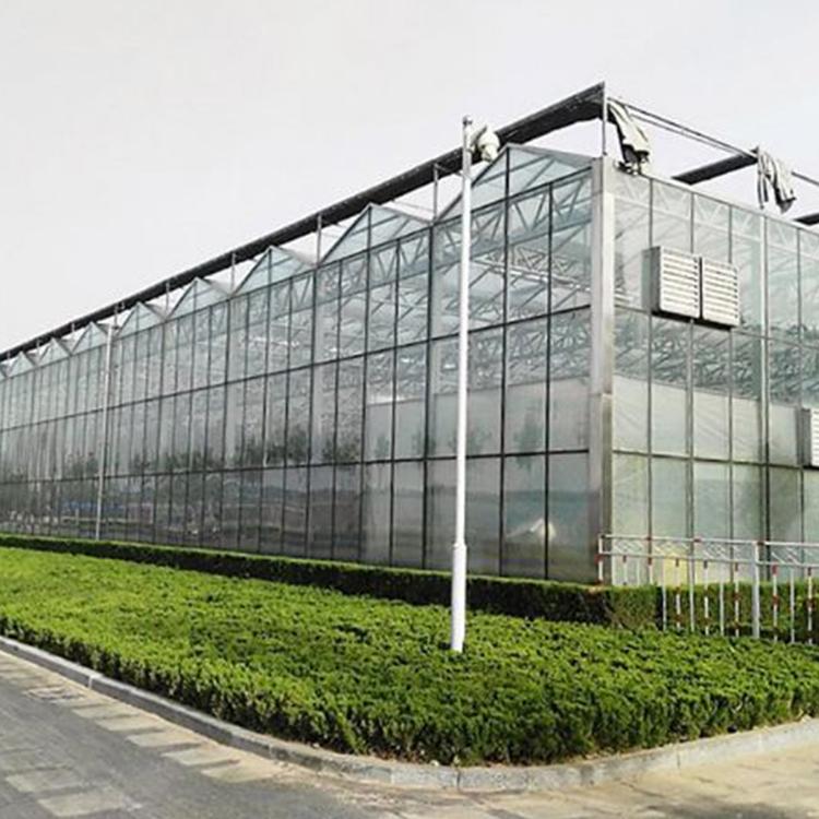 山东智能玻璃温室 迎晖温室 建设温室大棚 智能玻璃温室工程