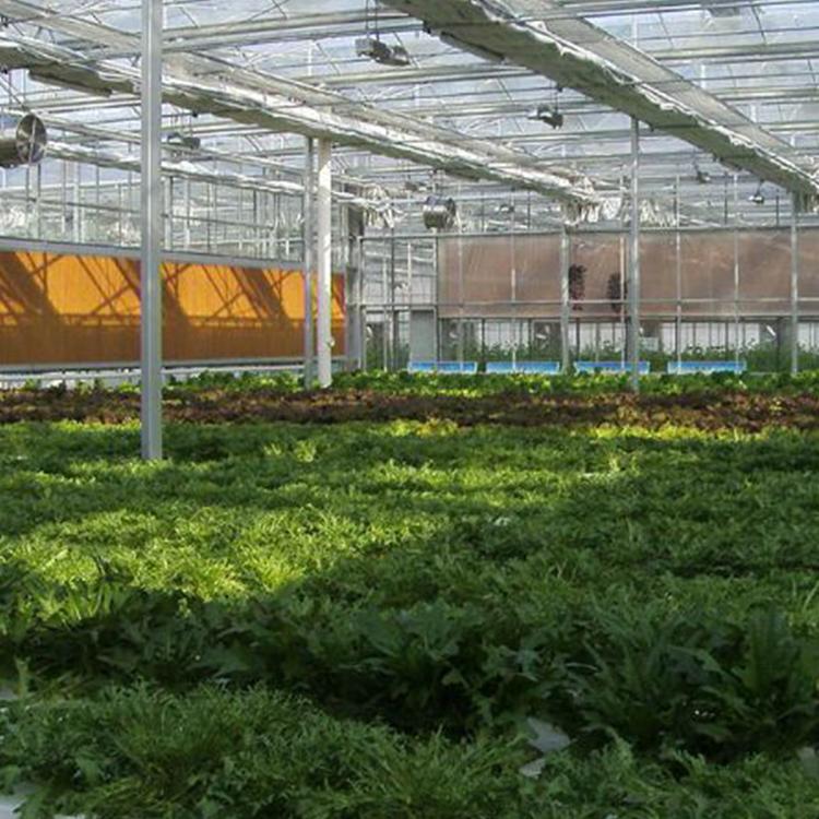 蔬菜温室 玻璃温室 蔬菜日光温室 玻璃温室 迎晖定制