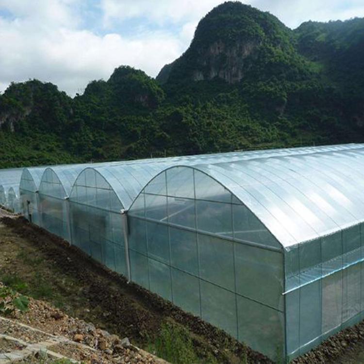 新型日光温室大棚 新型日光温室大棚建设公司