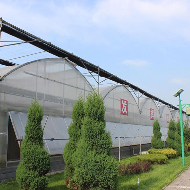 花卉蔬菜连栋温室大棚 连栋玻璃温室大棚 连栋温室大棚建造