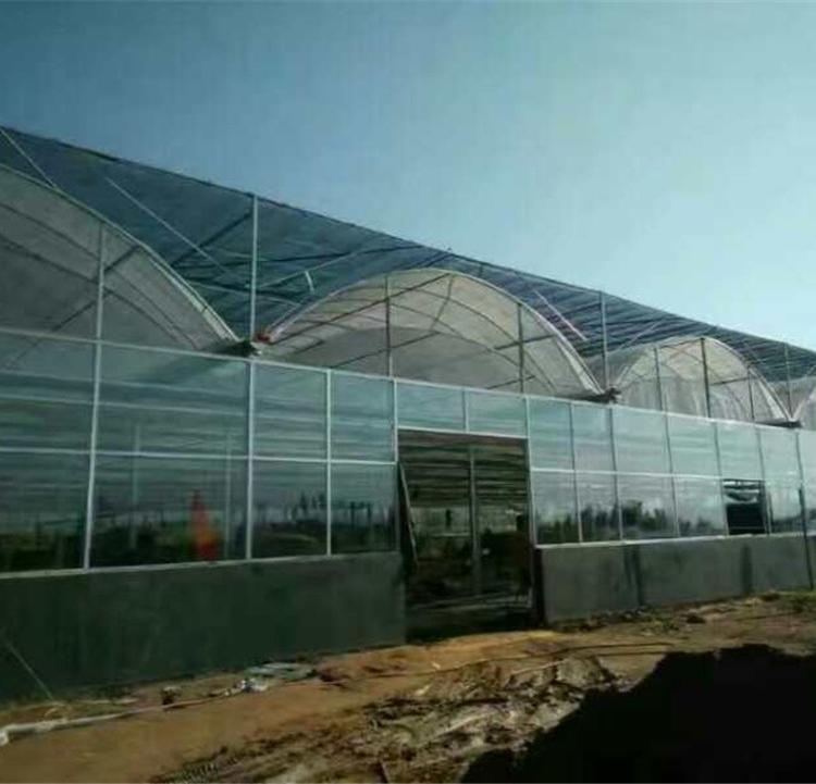 连栋温室薄膜大棚 温室大棚 品质保证 苗木大棚 遮阳大棚 厂家直销