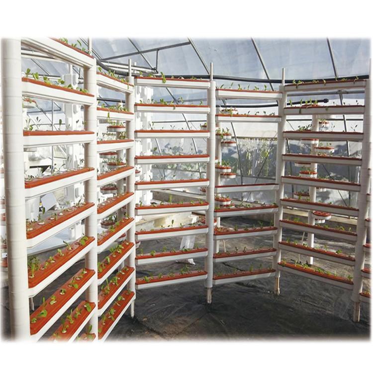 漏窗栽培 立体栽培 植物墙 立体种植 水培叶菜种植 无土栽培设施