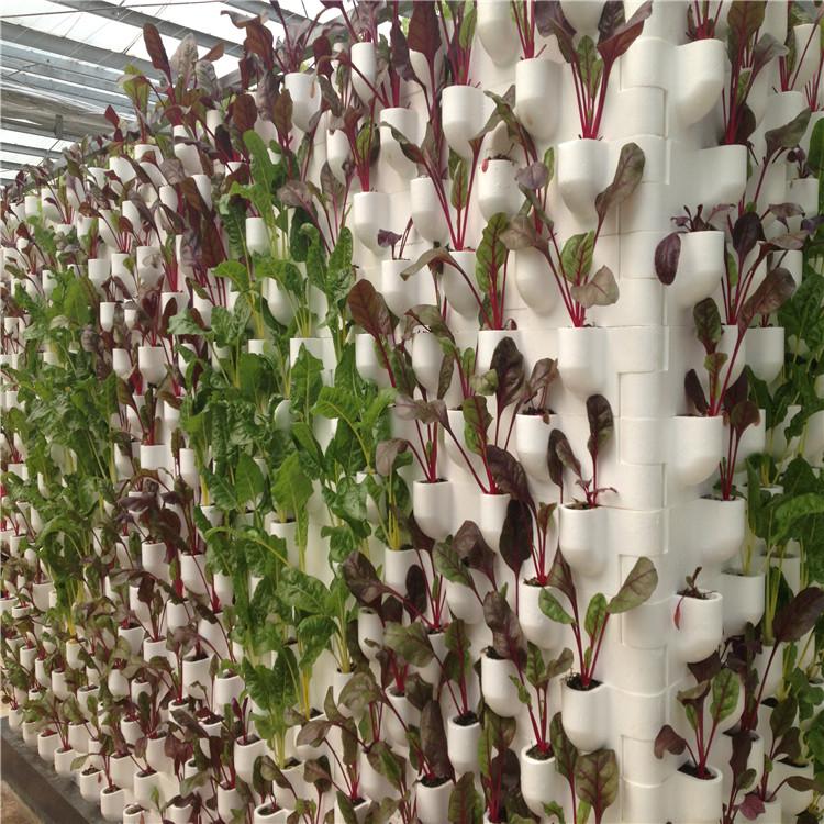 立体循环水培墙体植物种植墙无土栽培设备植物墙 泡沫立体种植墙