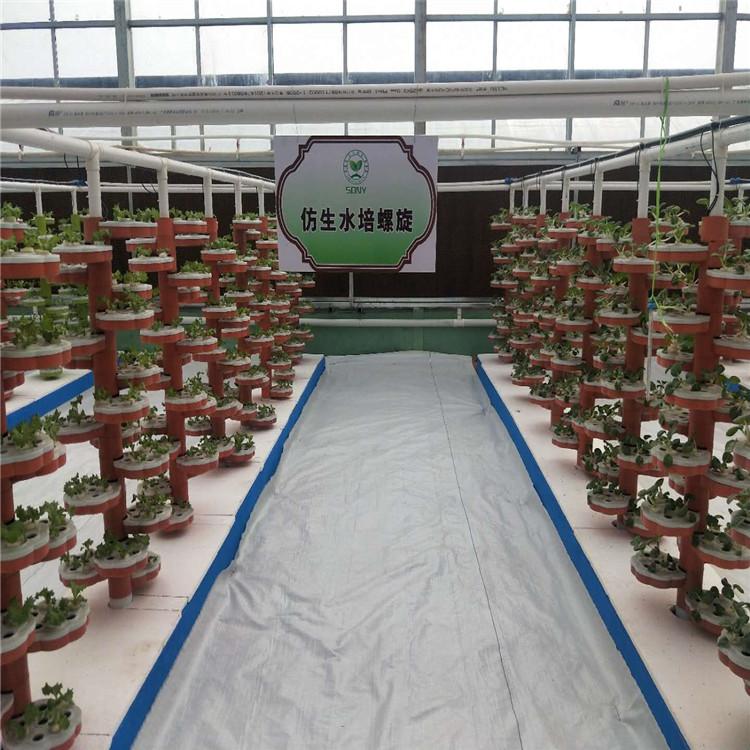 仿生螺旋无土栽培设施设备立柱蔬菜水培营养液水培立体栽培