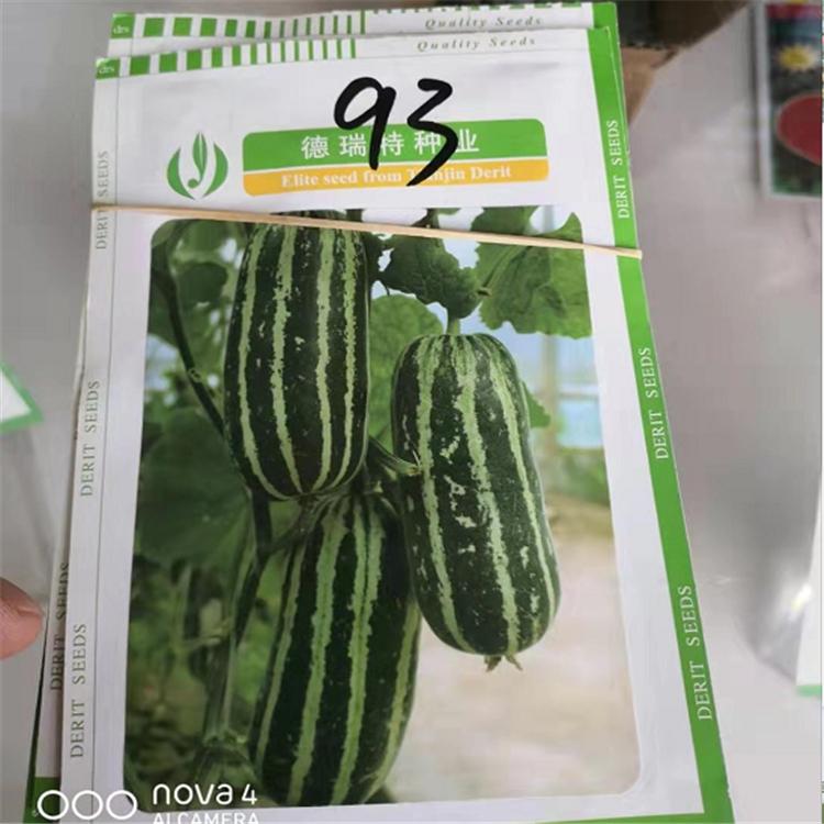 常年出售博洋93种子  温室大棚种植 汁多可口 博洋93种子优惠多多