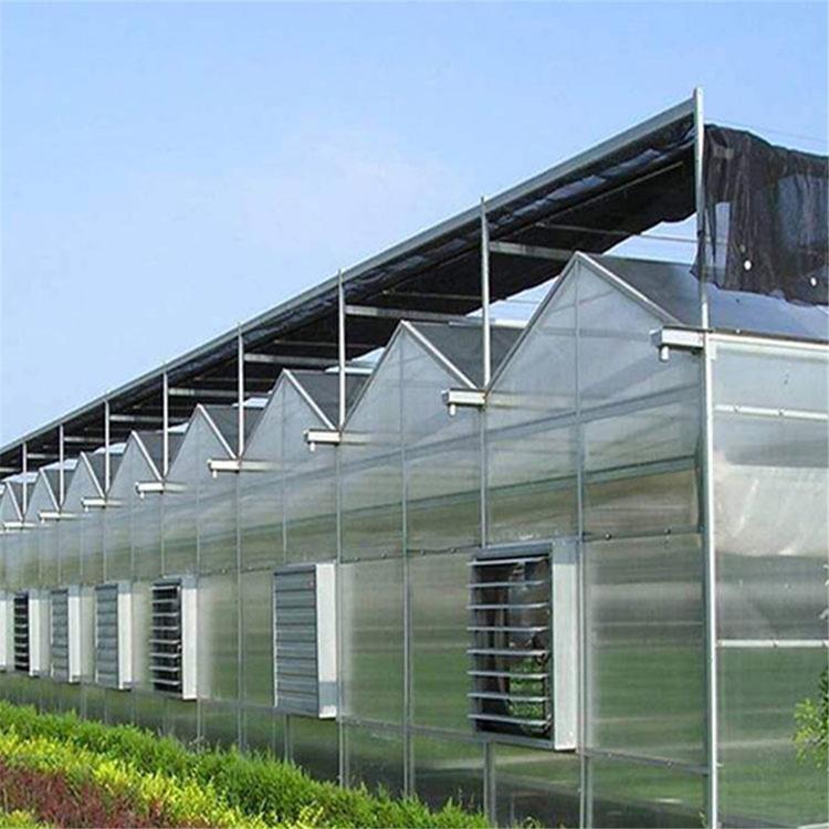 玻璃温室大棚建设 山东承接连栋玻璃大棚建设 定制玻璃温室 金农温室