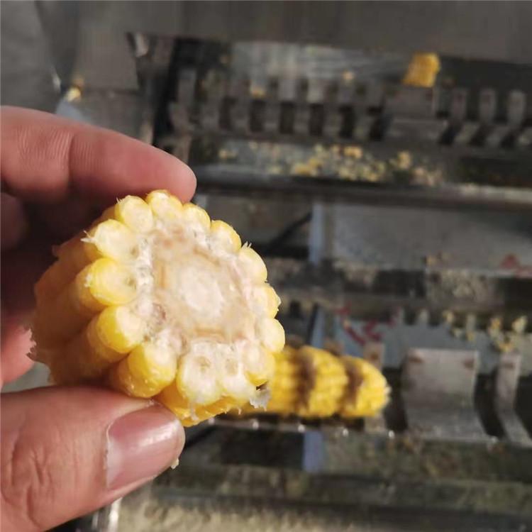 玉米切段机-可切黏玉米2.5cm-3cm-可加工定制-适合不同品种玉米加工切段