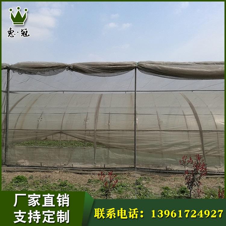 生产高质量草莓大棚草莓大棚价格草莓大棚厂家