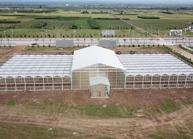 青海拱型大棚圆拱型阳光板玻璃组合温室大棚工程建设厂家