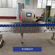 牡蛎分选机  牡蛎挑选机 牡蛎分级机