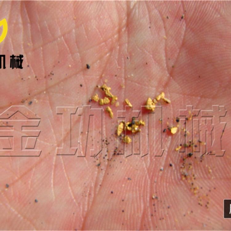 自动淘金设备  最小移动淘金设备
