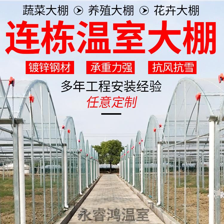 连栋蔬菜大棚销售安装一体化 一亩大棚造价多少钱 支持非标定制