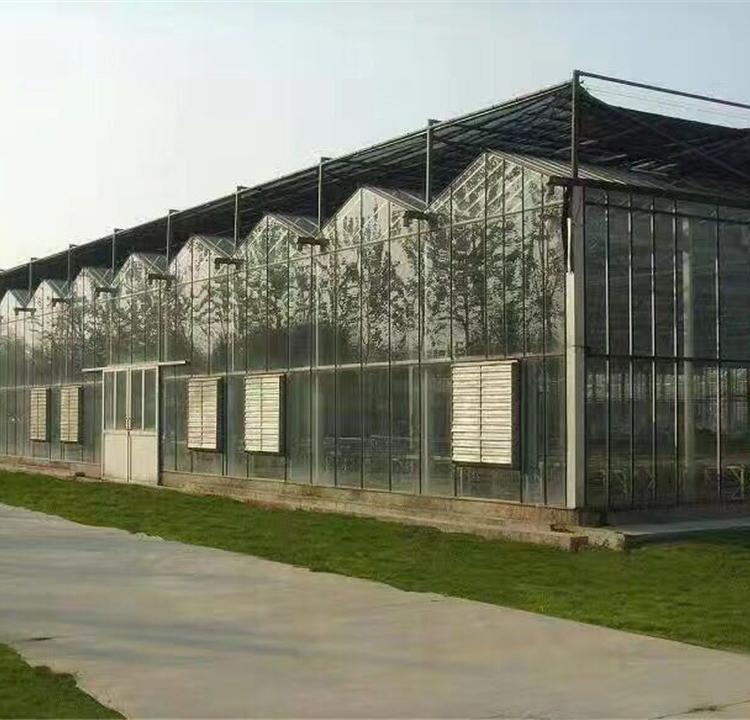 山东玻璃温室厂家  山水合温室  纹络型玻璃温室  玻璃温室报价