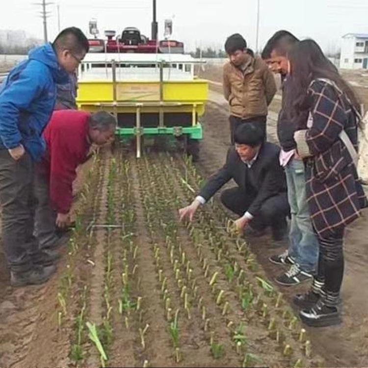 洋葱移栽机   华龙移栽机   移栽机供货商  移栽机报价