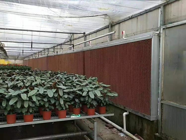 畜牧养殖 厂房车间通风降温专用降温水帘湿帘 鋆成兴达温控设备批发直销