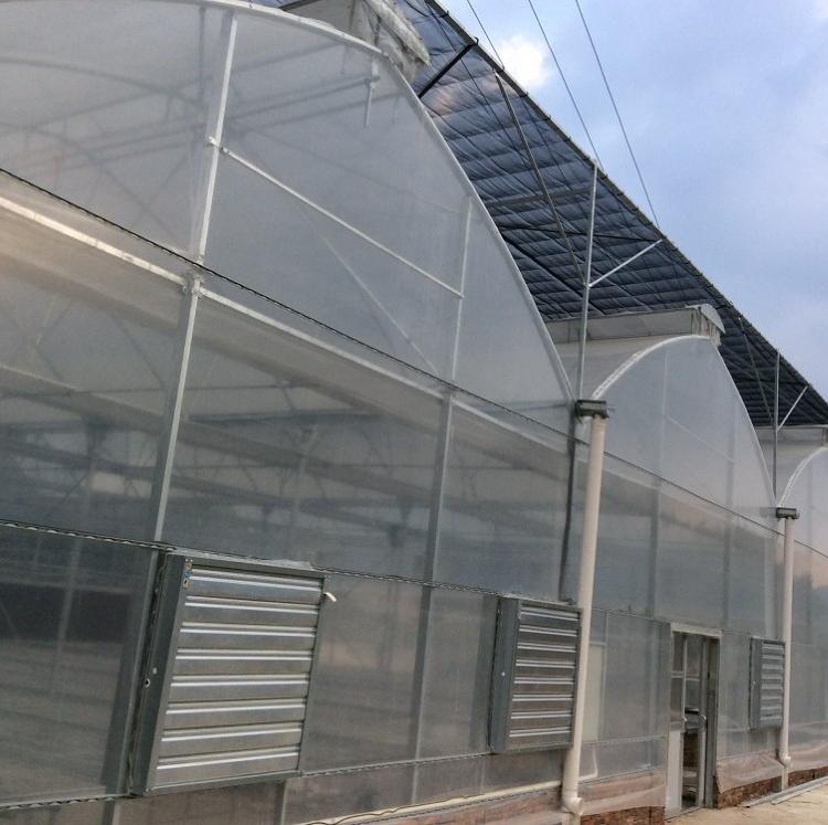 薄膜温室建设   薄膜温室报价   薄膜温室价格  金和温室