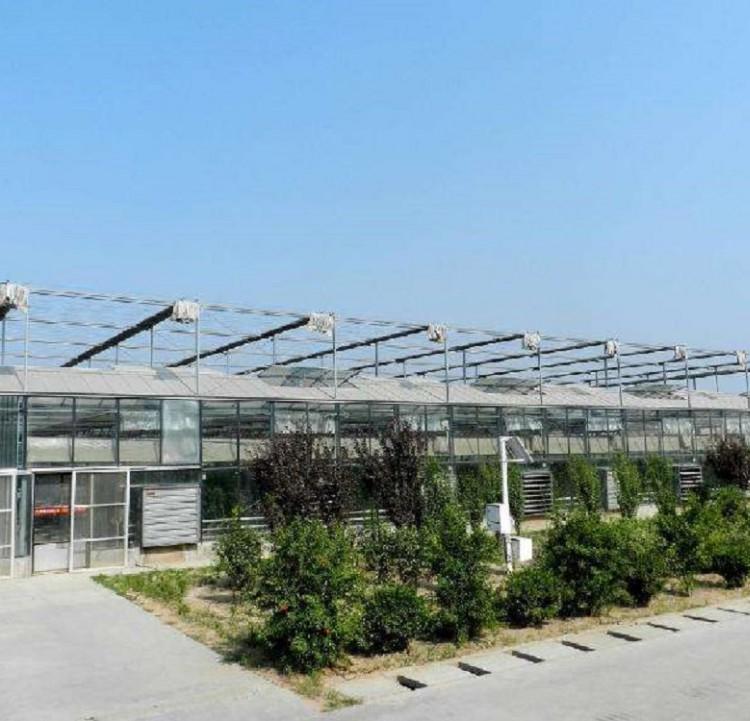 玻璃温室大棚建设   金和温室承建各类温室大棚  欢迎咨询