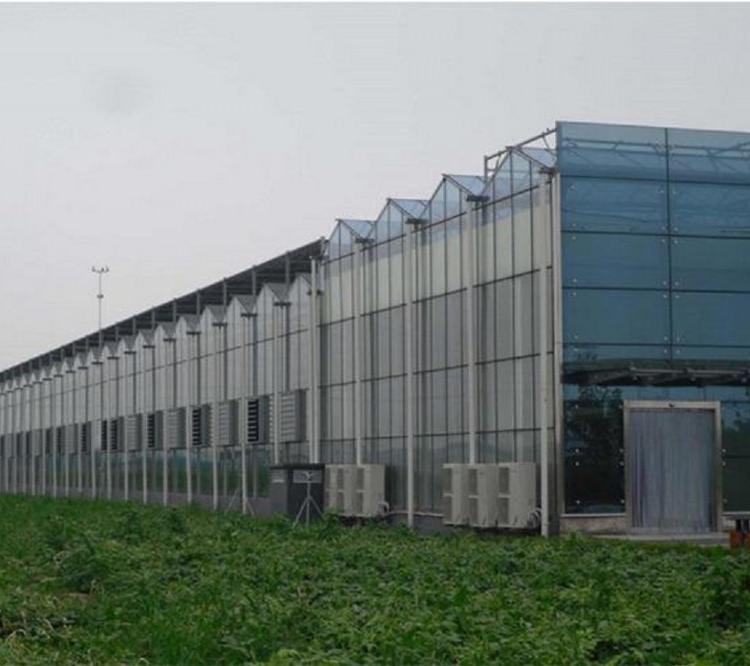 江苏玻璃温室大棚     玻璃温室大棚设计建造