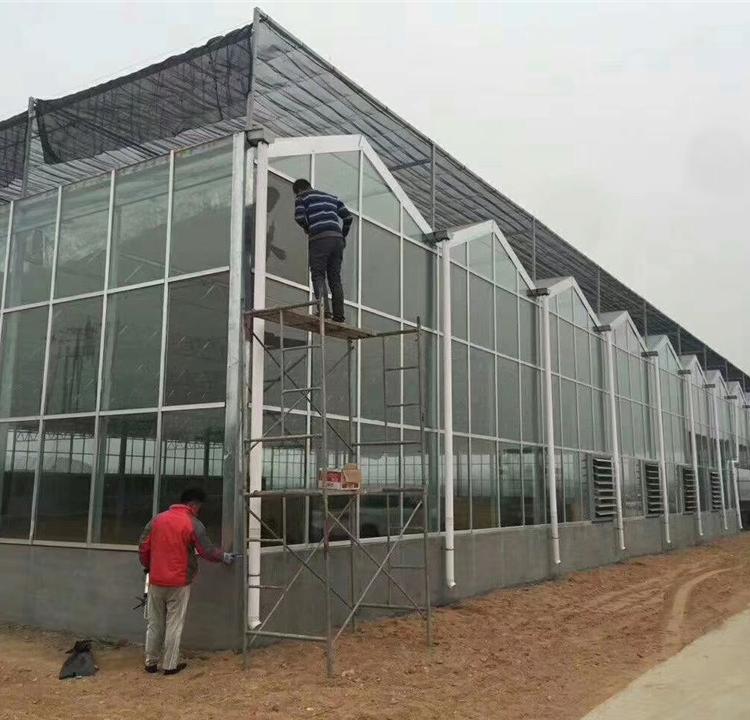 玻璃温室工程 连栋玻璃温室大棚工程建设 智能玻璃温室大棚工程
