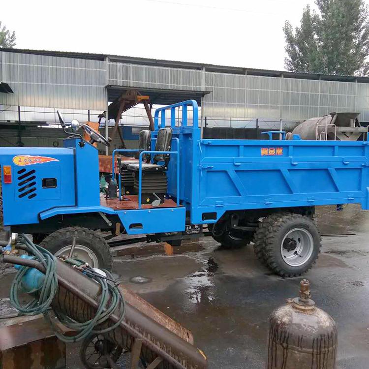 可定制后八轮四不像运输车 实地厂家直销柴油机四不像工程运输车