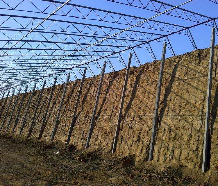 日光温室供应商 日光温室价格 日光温室生产线 大量供应日光温室 山东山水合