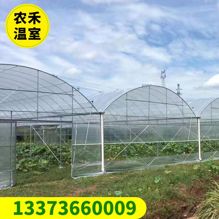 薄膜连栋温室大棚 连体温室大棚  花卉大棚 养殖大棚 连栋大棚厂家直销