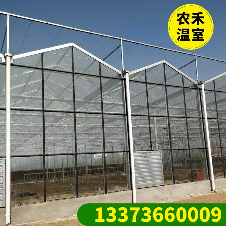 自产自销玻璃温室大棚骨架 花卉大棚 养殖大棚连体大棚 大棚厂家直销