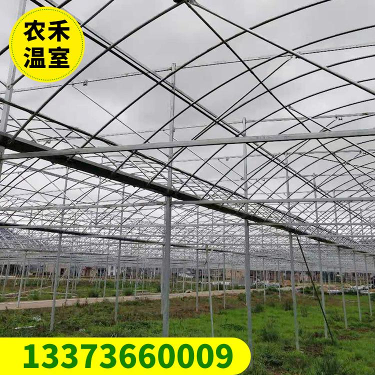 温室大棚 外遮阳薄膜连栋大棚 蔬菜大棚 连栋大棚厂家直销支持定制