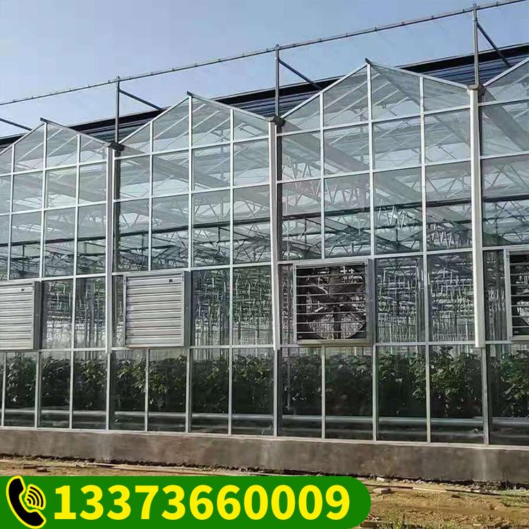 玻璃温室 温室大棚 连体大棚 蔬菜大棚 薄膜温室大棚厂家直销