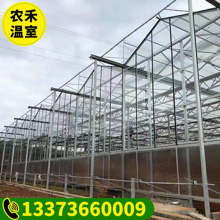 自产自销云南温室大棚骨架 花卉大棚 养殖大棚连体大棚 玻璃大棚